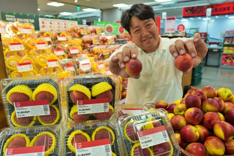 롯데마트, '매향복숭아' 단독 판매