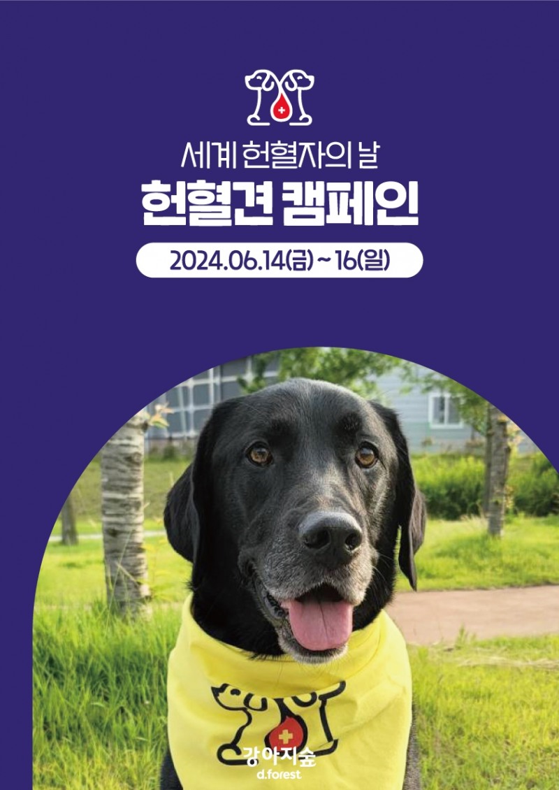강아지숲, 헌혈견 캠페인 진행