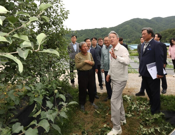 강호동농협중앙회장,경남거창사과재배농가현장점검