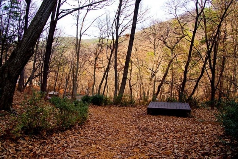 노랑풍선, '웰니스 인 공주' 상품 출시