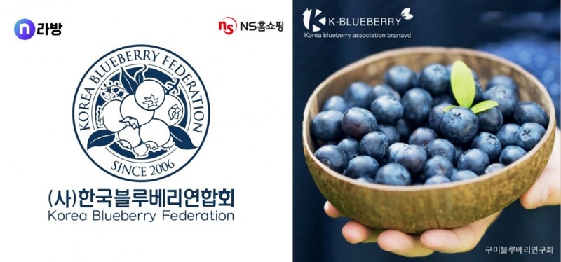 NS홈쇼핑, 블루베리 판매 방송 시작