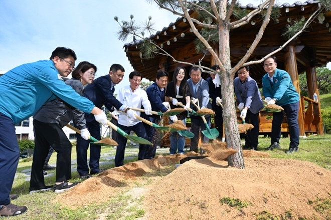 정종복 기장군수(좌측 네번째)와 기장군의회 의원 등이 기장군청사 내 정이품송 자목의 기념식수를 하고 있다.(사진제공=부산 기장군)