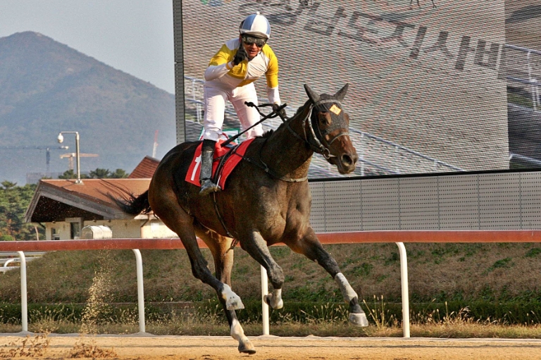 제39회 KRA컵 클래식(G2) 대상경주서 명마들 격돌