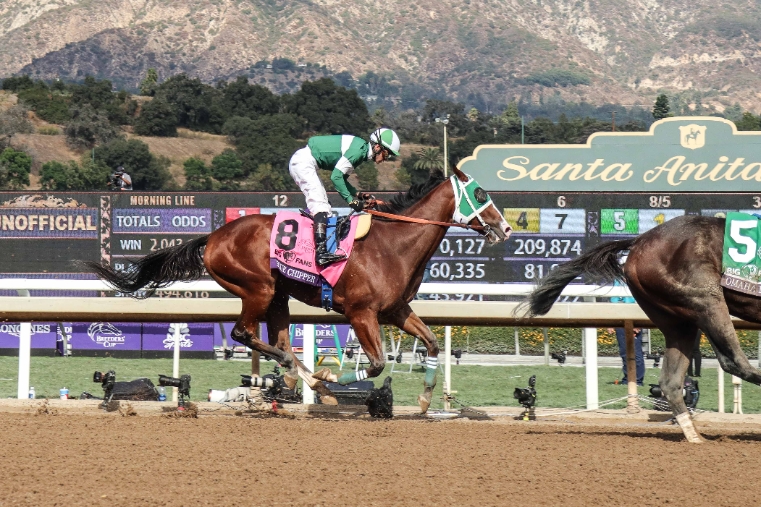 한국 경주마 최초 브리더스컵에 원정 출전한 블루치퍼. 사진=마사회