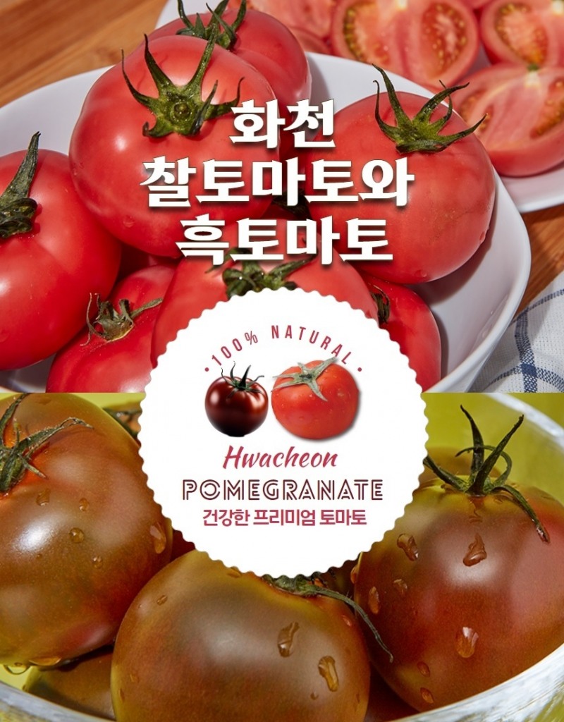 공영라방,화천 토마토축제 현장서 생방송 판매