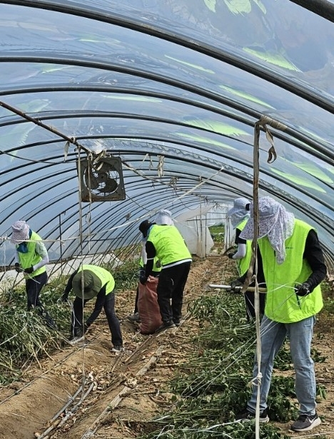 충남 논산시 연무읍 소재 농가를 방문한 농협상호금융 임직원 약 30여 명이 '집중호우 피해복구 일손돕기'를 실시하고 있다. 사진=농협중앙회