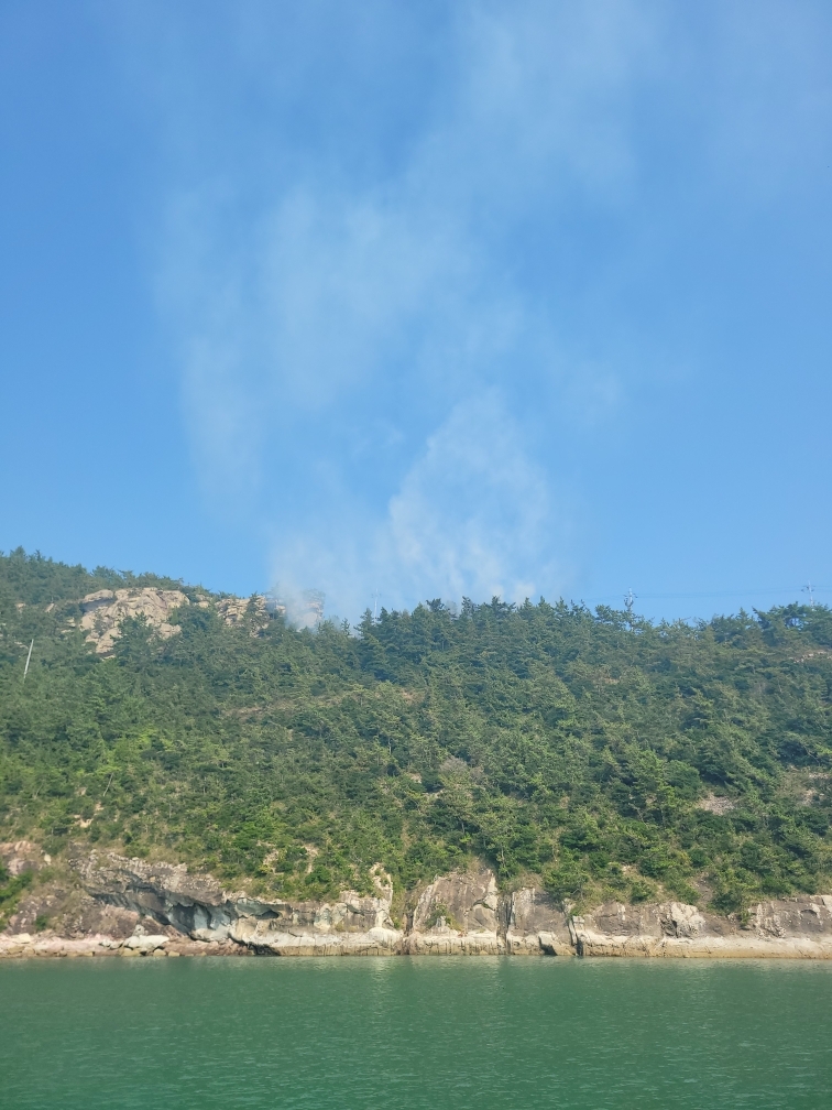 (사진제공=산림청)