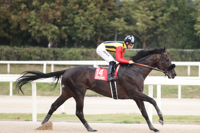 크라운프라이드