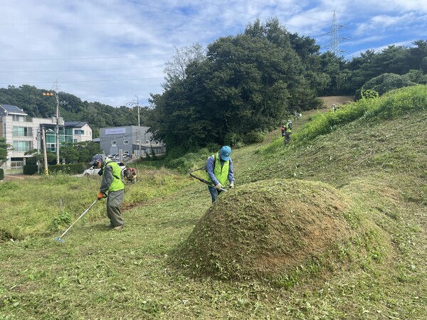 농협,추석대비벌초대행서비스실시