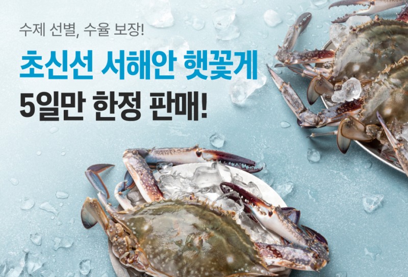 정육각, ‘산지에서 1일’ 초신선 팝업 행사 진행