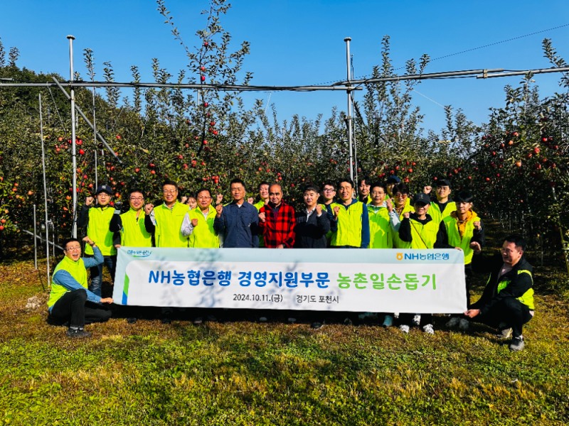 농협은행 경영지원부문 주영준 부행장과 임직원들이 농촌 일손 돕기 활동을 펼치고 있다. 사진=NH농협은행