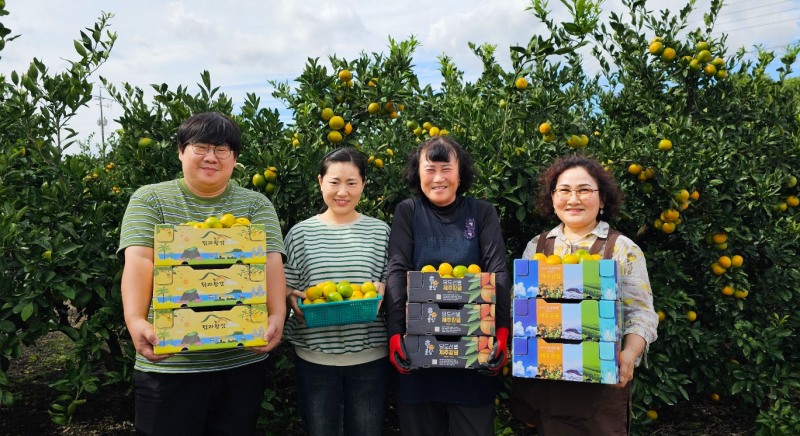 쿠팡, 감귤 800톤 매입