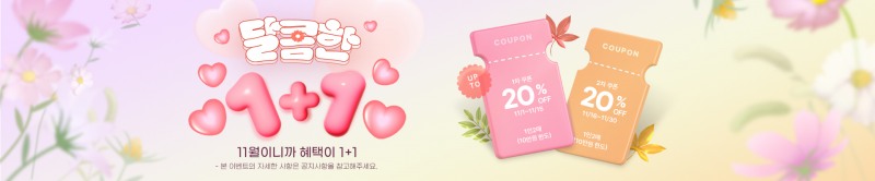 11월 기획전 홍보 배너