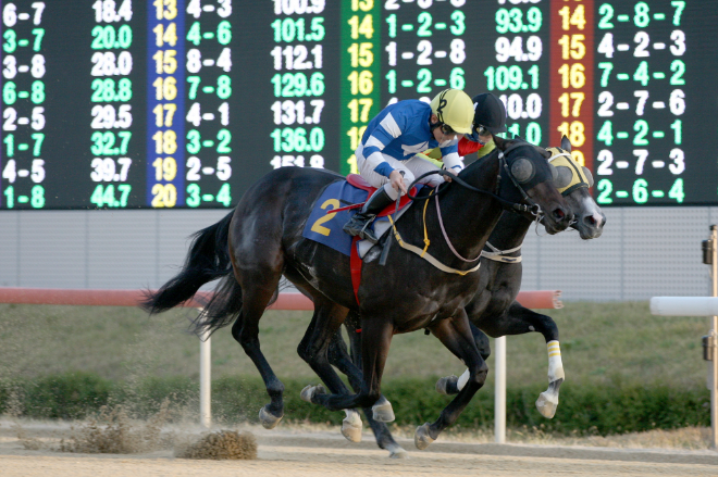 제17회 국제신문배, 최강 중단거리 최강馬 놓고 ‘신구격돌’