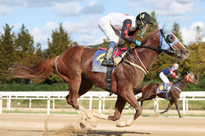 제17회 국제신문배, 최강 중단거리 최강馬 놓고 ‘신구격돌’