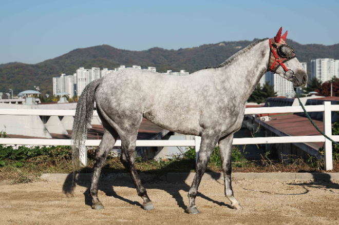오는 10일 제13회 스포츠월드배 경주 개최