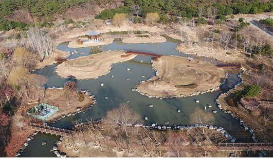 HUG 지원을 통해 조성된 부산 해운대수목원 HUG 기부숲.(사진=HUG)