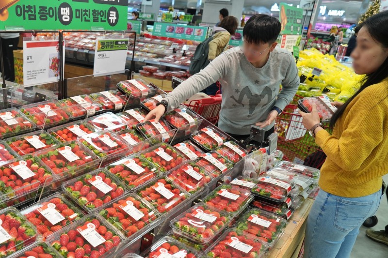 롯데마트, 딸기 전품목 할인 판매 진행