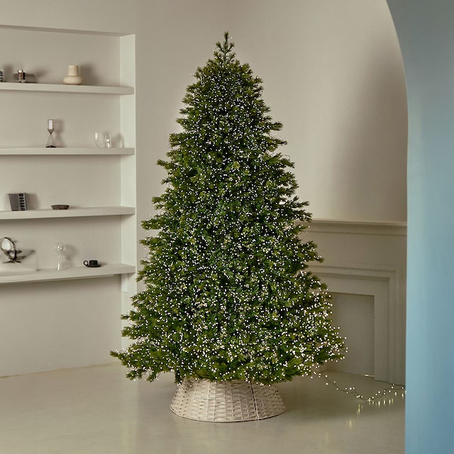 ‘크리스마스트리’, 보름간 오늘의집 쇼핑 검색어 1위 랭킹 차지