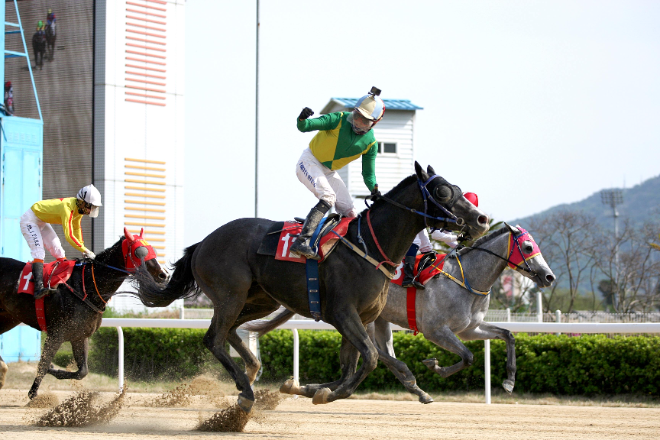 한 해를 마무리 하는 별들의 전쟁...제42회 그랑프리(G1) 개최