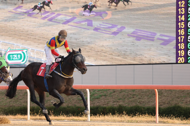 ‘아쿠아라인’ 브리더스컵 루키(G2) 역전 우승..."2세 챔피언 우뚝"