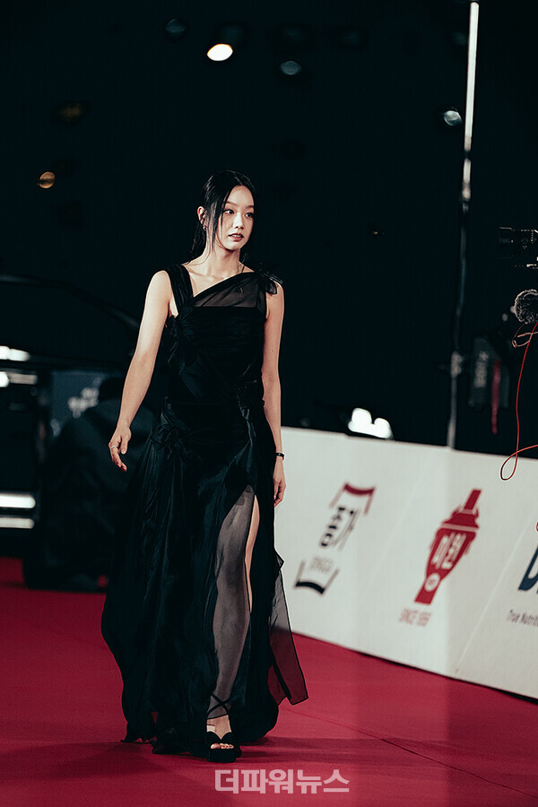 혜리,제45회청룡영화상레드카펫행사