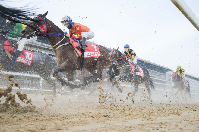 한국마사회, 공정경마 위한 '인기마 미입상 기수 인터뷰' 시범운영