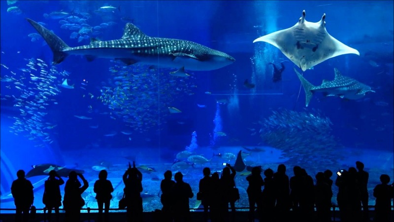 노랑풍선, 휴양지 오키나와 여행 상품 선보여