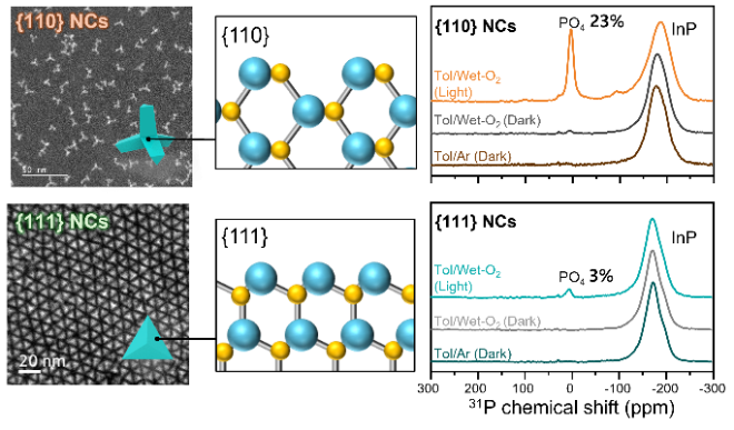 InP 나노결정(NCs)의 표면 특성과 광산화 반응에 따른 화학적 변화. 사진=한국연구재단