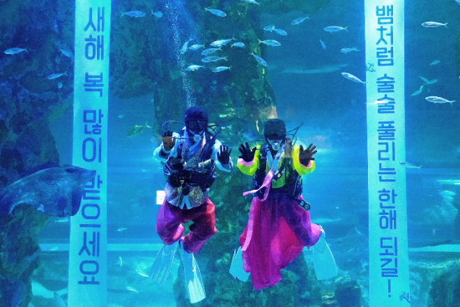 롯데월드, 설 연휴 민속 콘텐츠 선봬..."국악 퍼레이드부터 퓨전 국악까지"