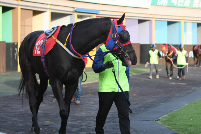 2025년 첫 대상경주 개막...‘제23회 세계일보배’ 개최
