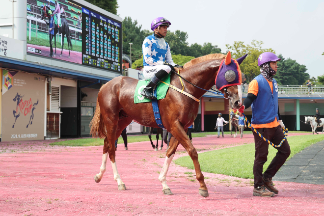 최강 3세마를 향한 첫 걸음...‘제38회 스포츠서울배’ 개최