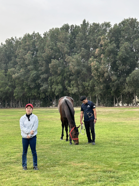 훈련 후 휴식 취하는 글로벌히트와 인터뷰 응하는 김혜선 기수. 사진=마사회