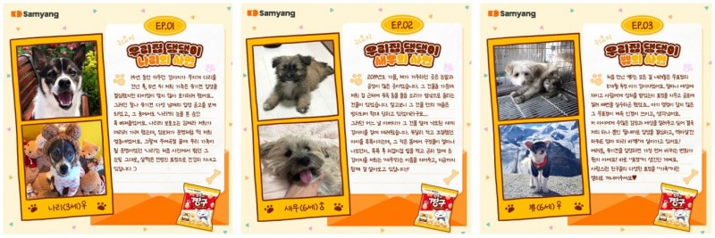 삼양식품, 유기견 입양 사연 응모 진행