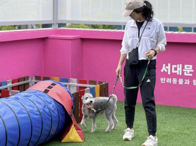 반려동물 문화센터인 ‘서대문 내품애(愛)센터’ 옥상 놀이터 모습