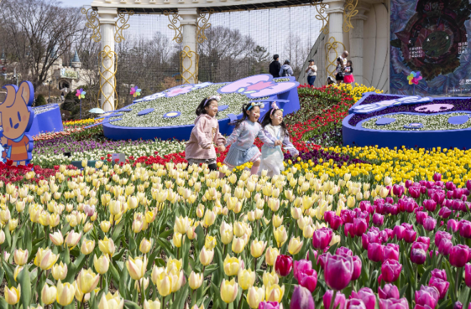 에버랜드, 산리오캐릭터즈 콜라보 '튤립축제' 오는 21일 오픈