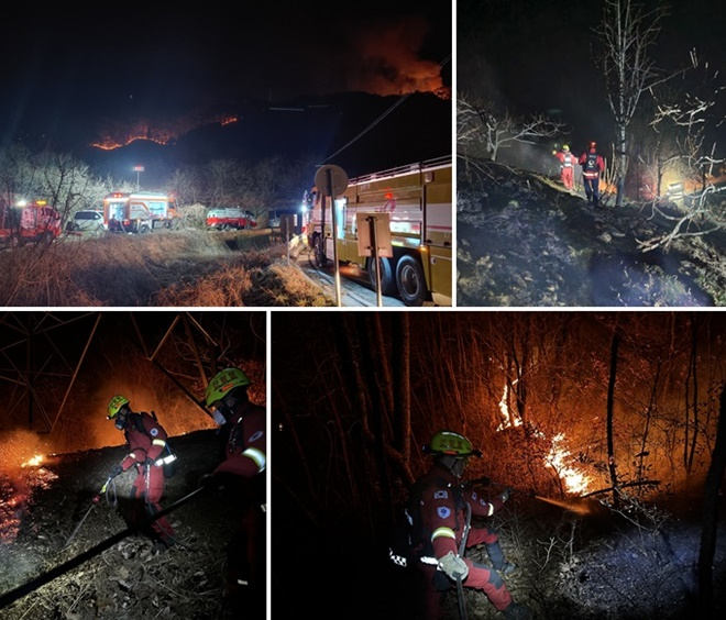 (사진제공=산림청)