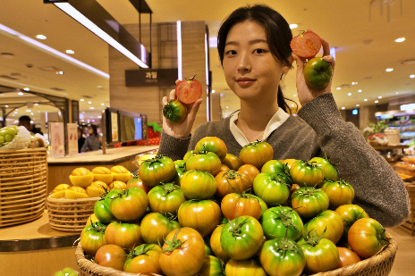 롯데百, '대저 짭짤이 토마토' 판매 진행