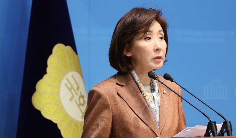 국민의힘 나경원 의원(사진=연합뉴스)