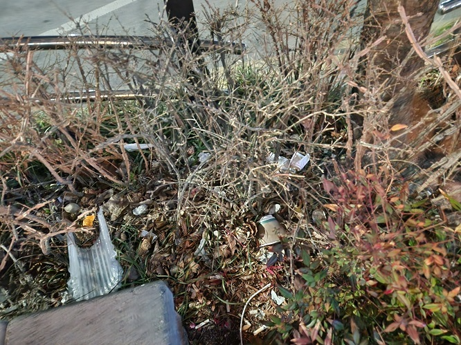 굴포천역 8번 출구 주변 화단 곳곳이 쓰레기가 버려져 있다.