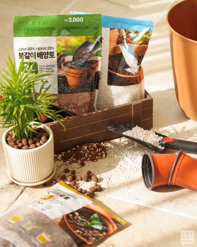 아성다이소, ‘원예용품 기획전’ 실시