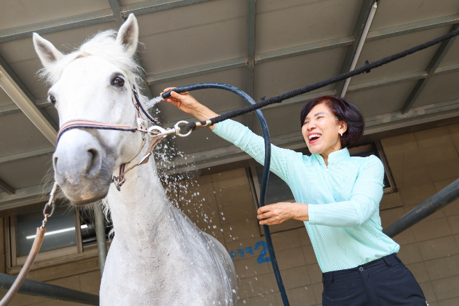 한국마사회, 힐링승마 지원사업 온라인 접수 시작