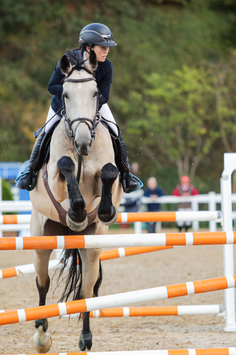 한국마사회, 제16회 승마지도사 자격시험 원서접수