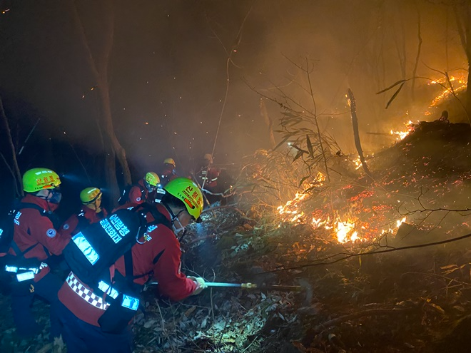 (사진제공=산림청)