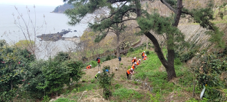 영광군, 백수해안도로 산림 경관 정비 사업 실시