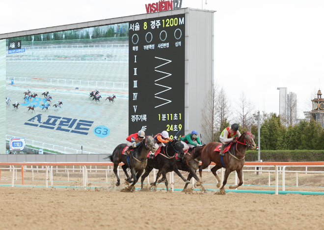 ‘빈체로카발로’, 제33회 SBS스포츠 스프린트배(G3) 우승