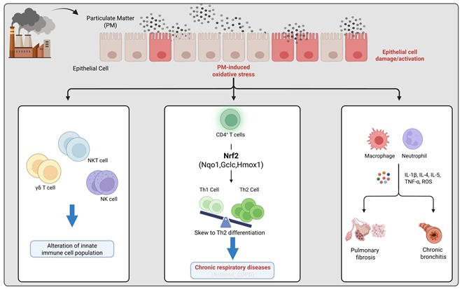 연구 이미지.(제공=부산대)