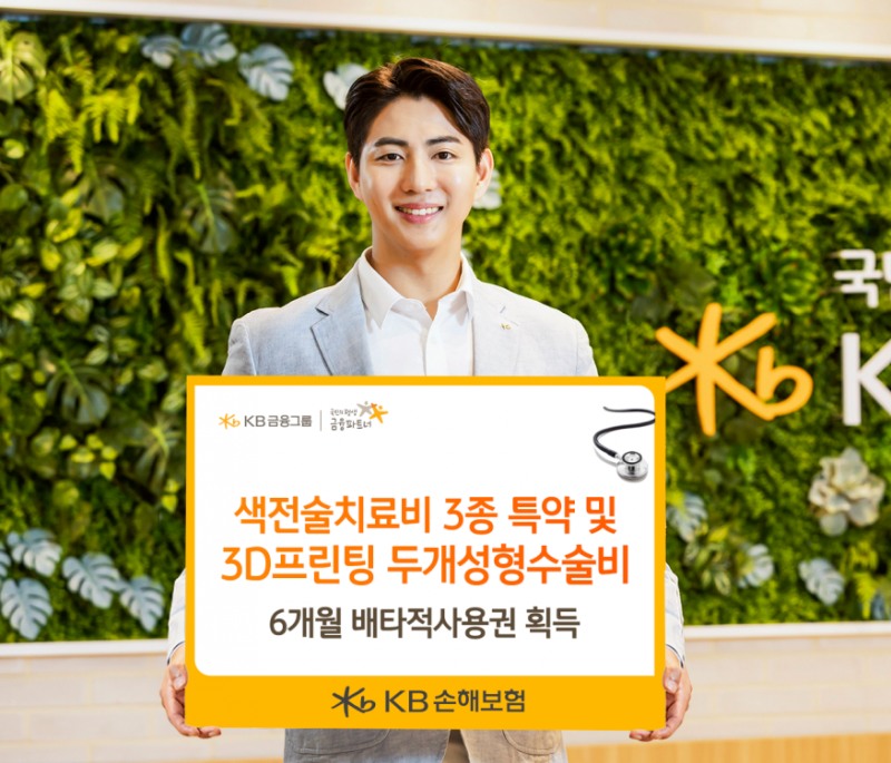 KB손보, 색전술치료비 3종·3D프린팅 두개성형수술비 배타적사용권 획득