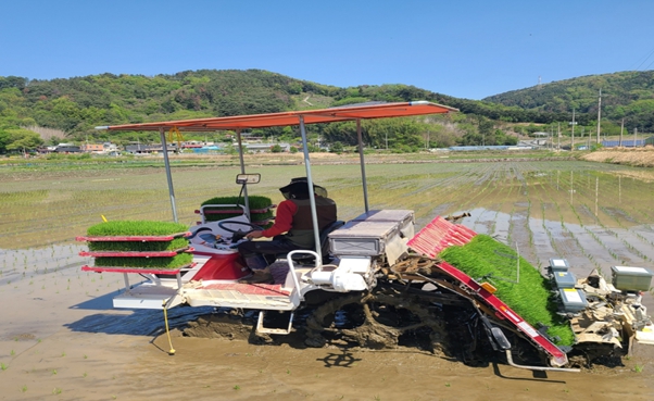 올해 첫 모내기 시작…본격적인 영농철 돌입