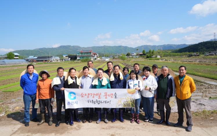춘천시, 올해 모내기 행사 추진 ··· 대풍 기원